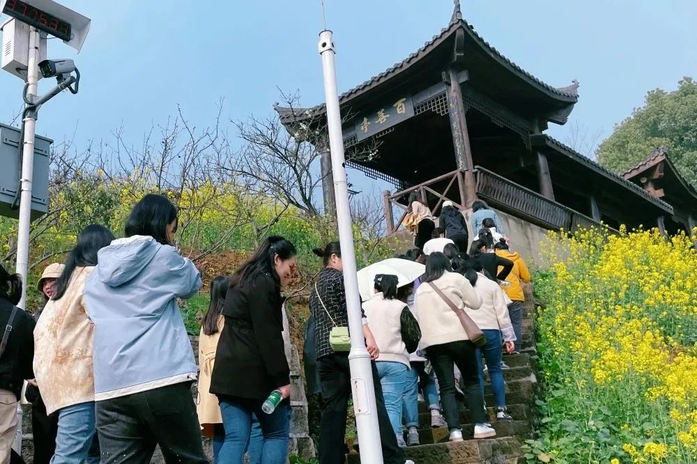 獻禮3.8節(jié)|勇做攀登者，奮進新未來