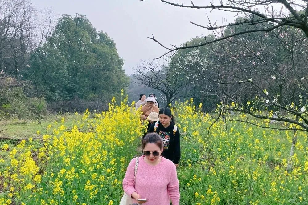 獻禮3.8節(jié)|勇做攀登者，奮進新未來