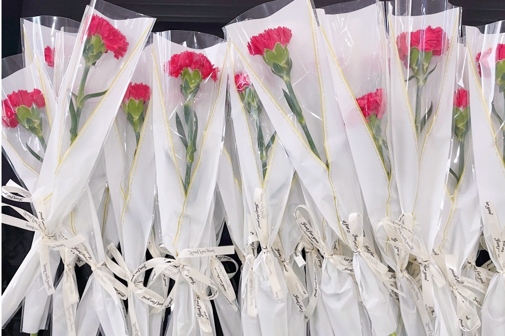 獻禮3.8節(jié)|勇做攀登者，奮進新未來